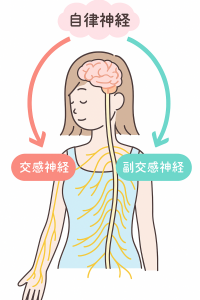 自律神経